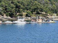 599FossilBaydock.sized.jpg