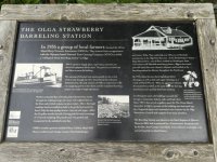 626OlgaArtworks.sized.jpg