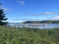 658LopezIslandMarine.jpg