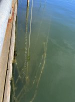 761SunkenSailBoatNMIDock.jpg