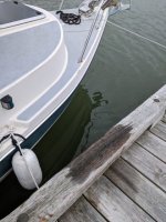 Ryan_Dock_Aftermath_2.sized.jpg