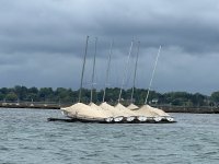 709BuffaloSailBoats.jpg