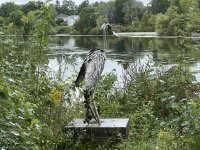 996SenecaFallsLudovicoSculptureTrail.jpg