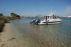 DSC05403.sized.jpg