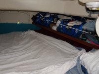 DSC00409.sized.jpg