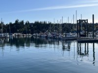 038FridayHarborCdorys.sized.jpg