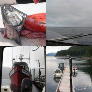 (Juneau_Jason) Auke Bay