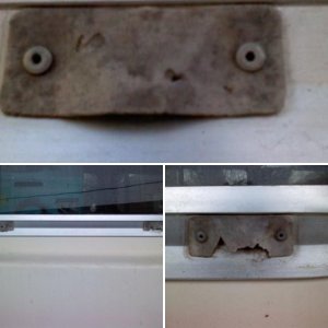 Drain guard