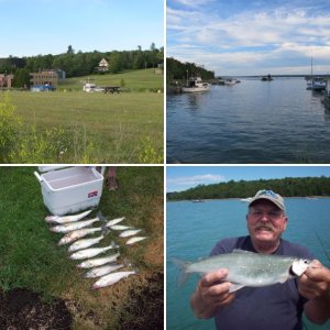 Laker: Algoma Discovery