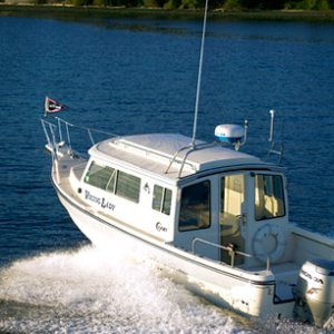 C-Dory