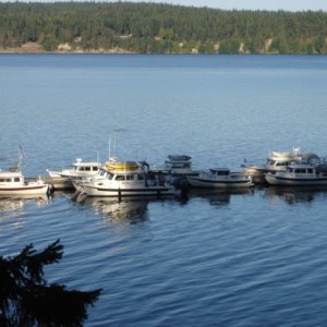 12 Sept R-MATEY & other
 C-Dorys at Sequim