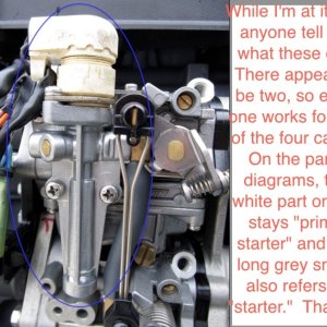 carbs 2 annotated