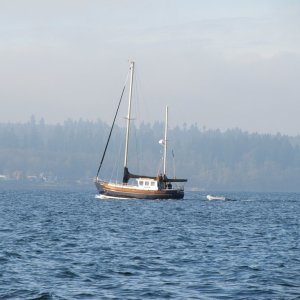 And we saw our favorite sailboat which seemed lucky as well