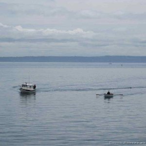 SleepyC ushering in the last rower of the PT Open Water rowing races, 2011.
