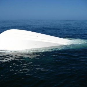Grady white using it's "positive" flotation