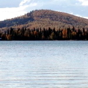 2nd launch - Birch Lake - Looking for moose