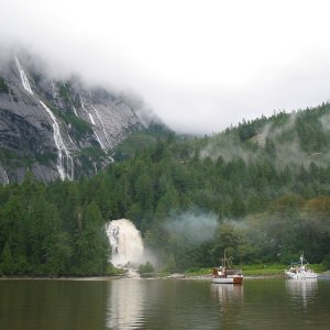 IMG 2011