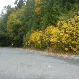 Fall at Freshwater Bay boat ramp