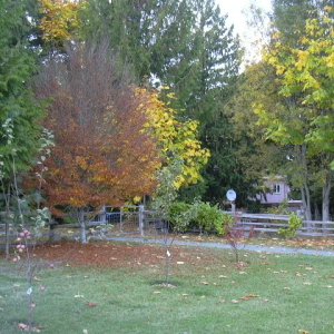 Fall at Freshwater Bay 022