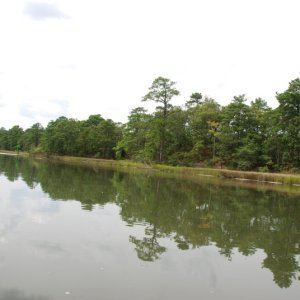 DSC 0067