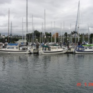 ANITA MARIE (25 CD)
DAKOTA (19 CD) which is
rafted to C-DANCER 22 CD 
& C-CHANGE (22 CD)