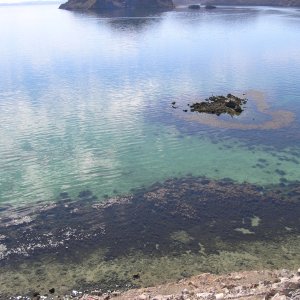 The water in the Sea of Cortez can be stunningly clear