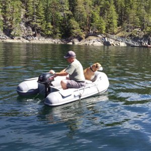 Taking Juno to shore for his morning constitutional.
