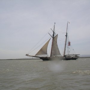 sailing ship seen on the way to the duck club