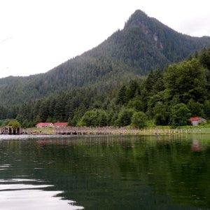 View of cannery ruins at Taku Harbor