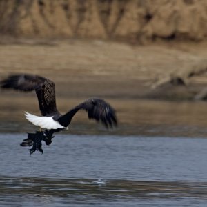 Lift off with Duck