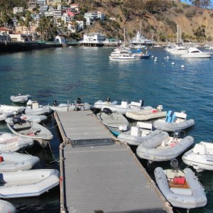 Avalon dinghy dock not as packed as usual with No Limits in the back ground