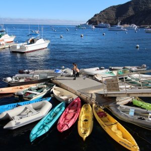 Avalon Casio dinghy dock full of kayaks