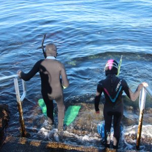 13yr old is taking the 10yr old free diving at the Casio Marine Park