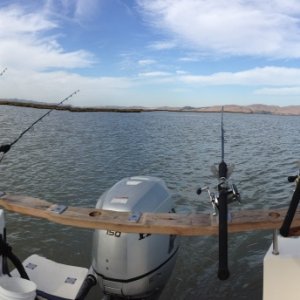 Balancer Beams for Striper and Sturgeon fishing the world famous California Delta