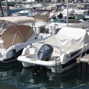 Full Swim platform with Outboard Motor - good concept and well designed