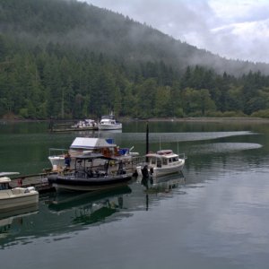 Reid Harbor dock on August 23, 2019