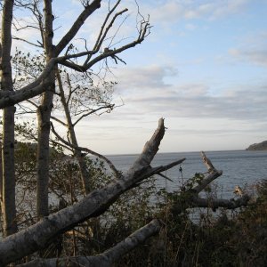 coastal California