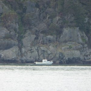 C-Dory sighting - Angler leaving Cap Sante