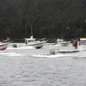 C-Dories Running In San Juan Islands, 5-4-03