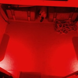 Night vision saved and no bugs.