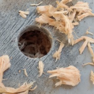 Nothing but nice, dry, balsa in there. Yay!!!