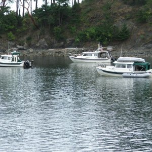Fossil Bay 2011
