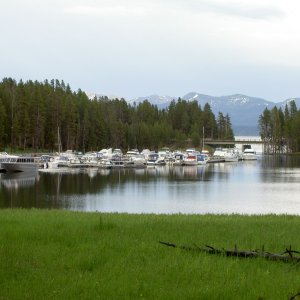 Bridge Bay Marina, Yellowstone Lake