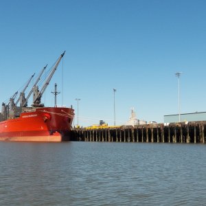 A ship loading something.  Bet is has something to do with wood.