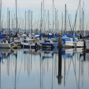 The "Betty Ann" holding its own with 27' to 37' sailboats at Anacortes Slip J32.