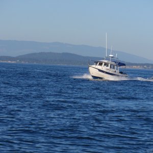 P5130006