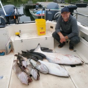 48 lb halibut