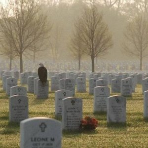 They paid the ultimate sacrafice. RIP
