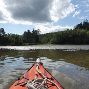 Paddling around Liberty Bay Friday afternoon, in about 6" of water in much of the bay.