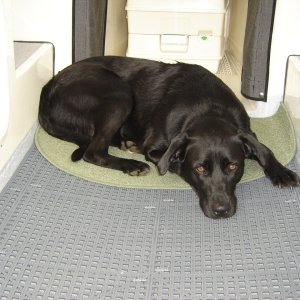 Being the Captain is exhausting!